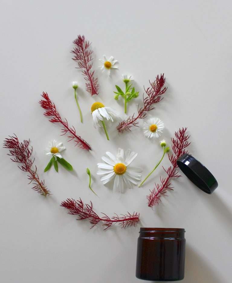 7 Benefits of using Natural Beauty Products