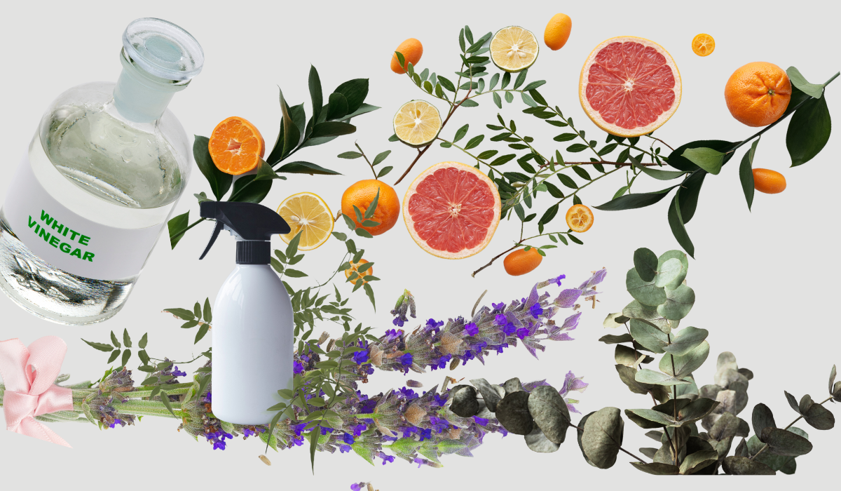 Read more about the article My DIY All-Purpose Cleaner