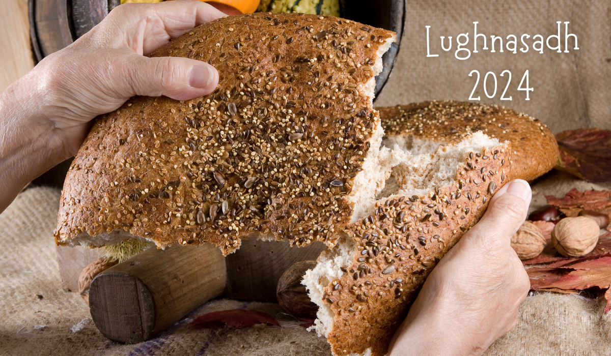 Read more about the article Lughnasadh, The First Harvest